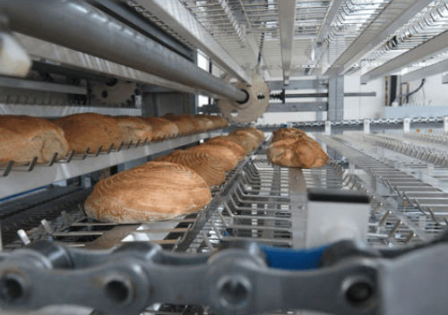How to Avoid Financial Loss in Bread Production