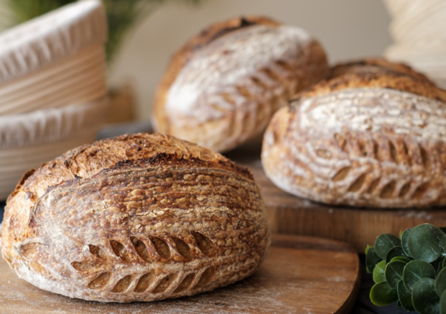 The Discipline That Keeps You at the Top of the Baking Profession